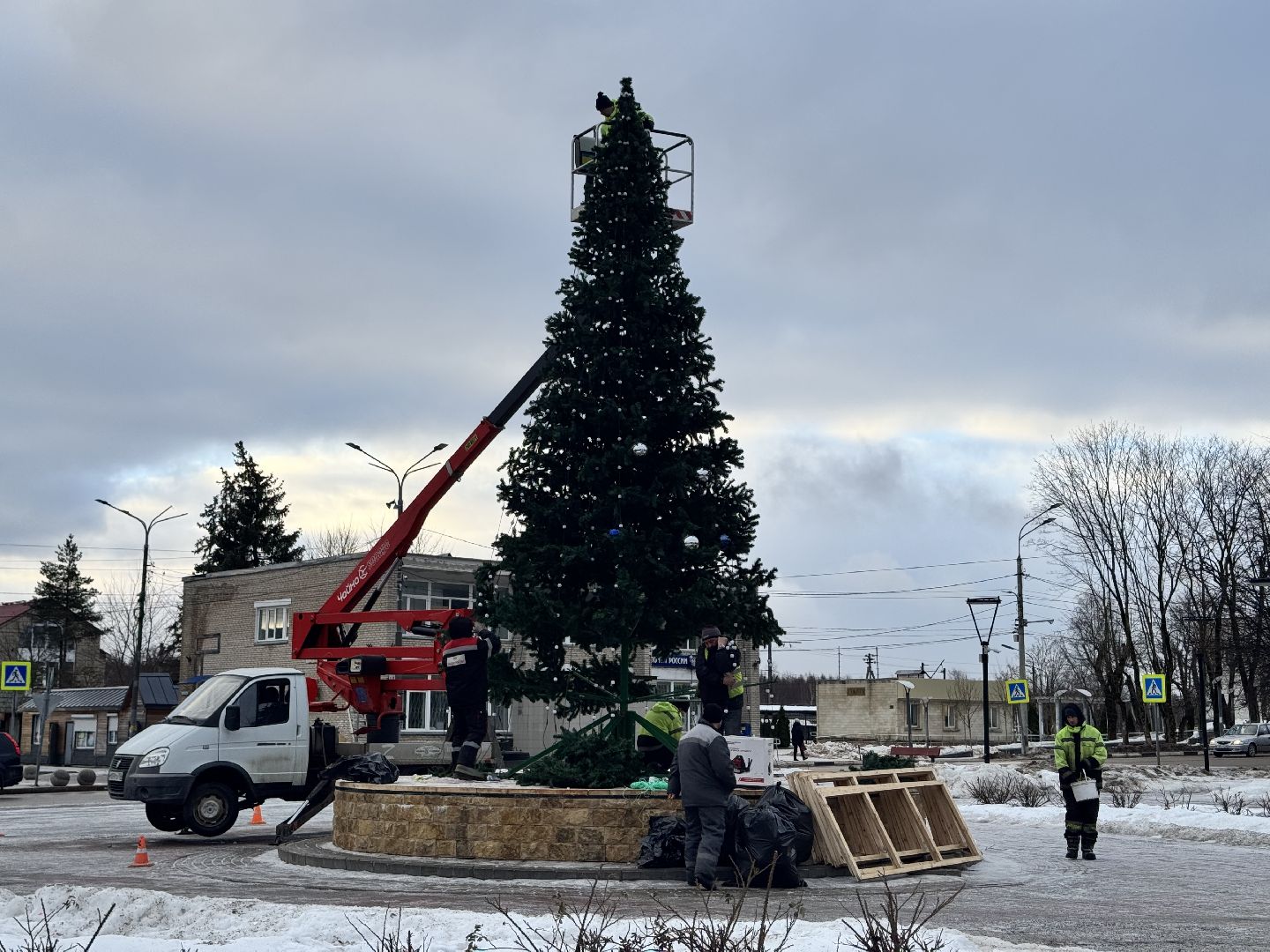 шаховская, разборка елки, ёлка, благоустойство, вертикалки,