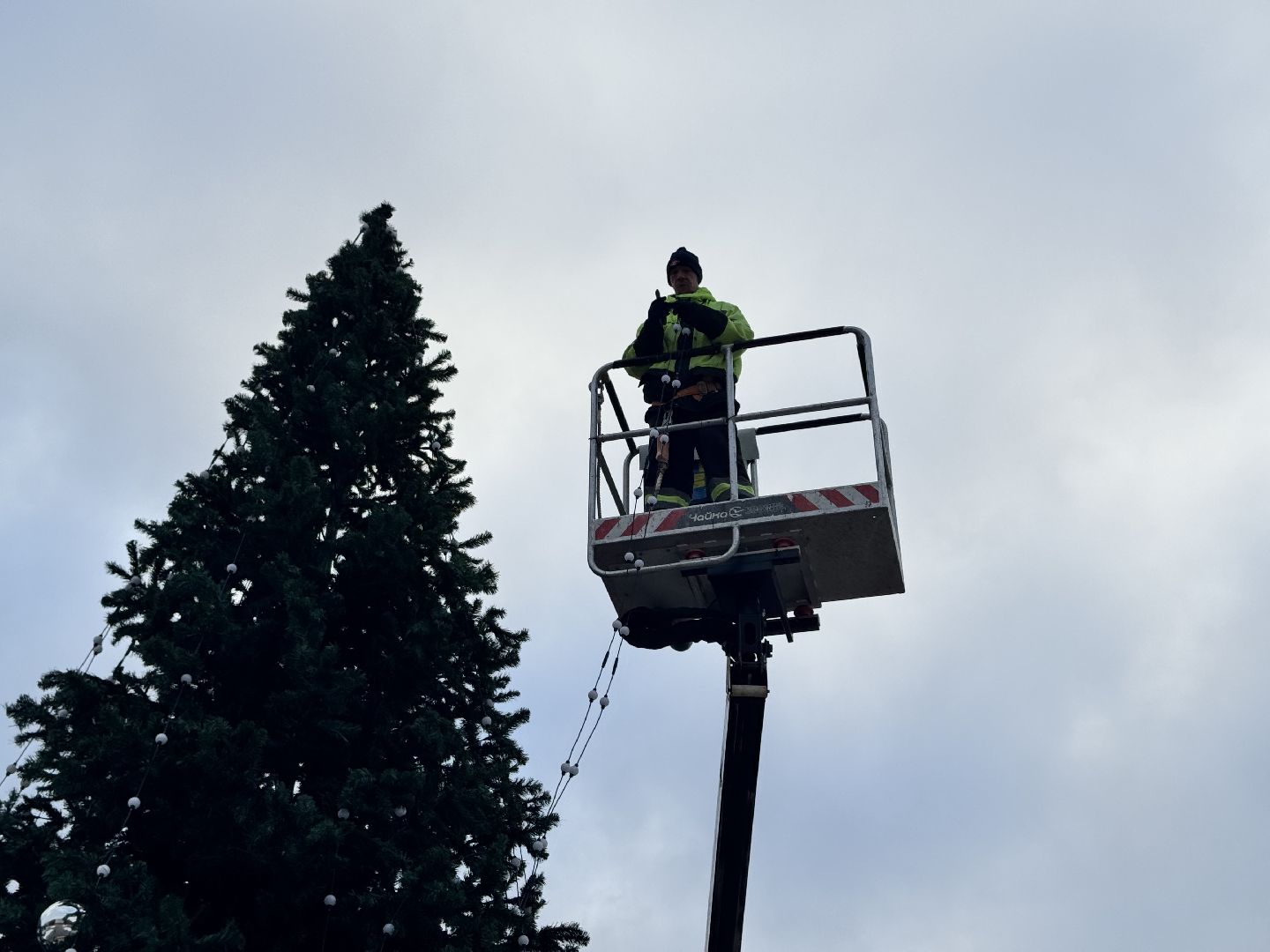 шаховская, разборка елки, ёлка, благоустойство, вертикалки,