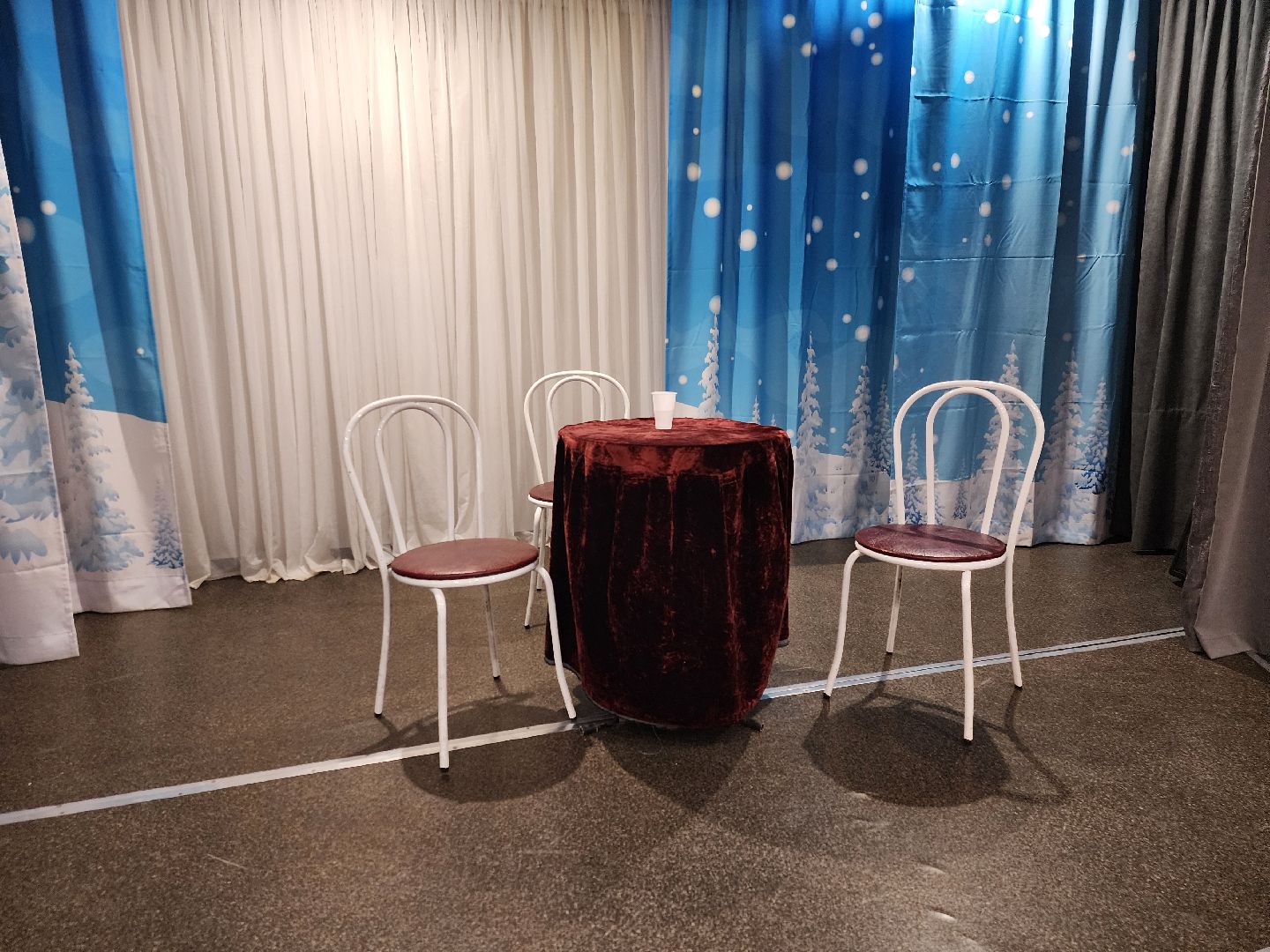 Химки, Культура, активное долголетие,