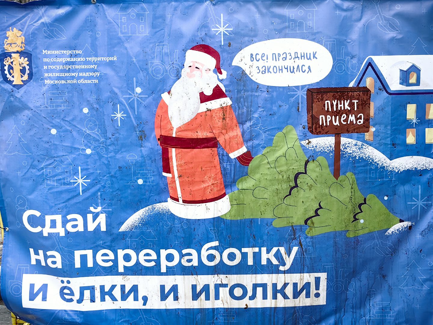 ели, хвойные, переработка, пункт приема, акция, экология, вертикалки,