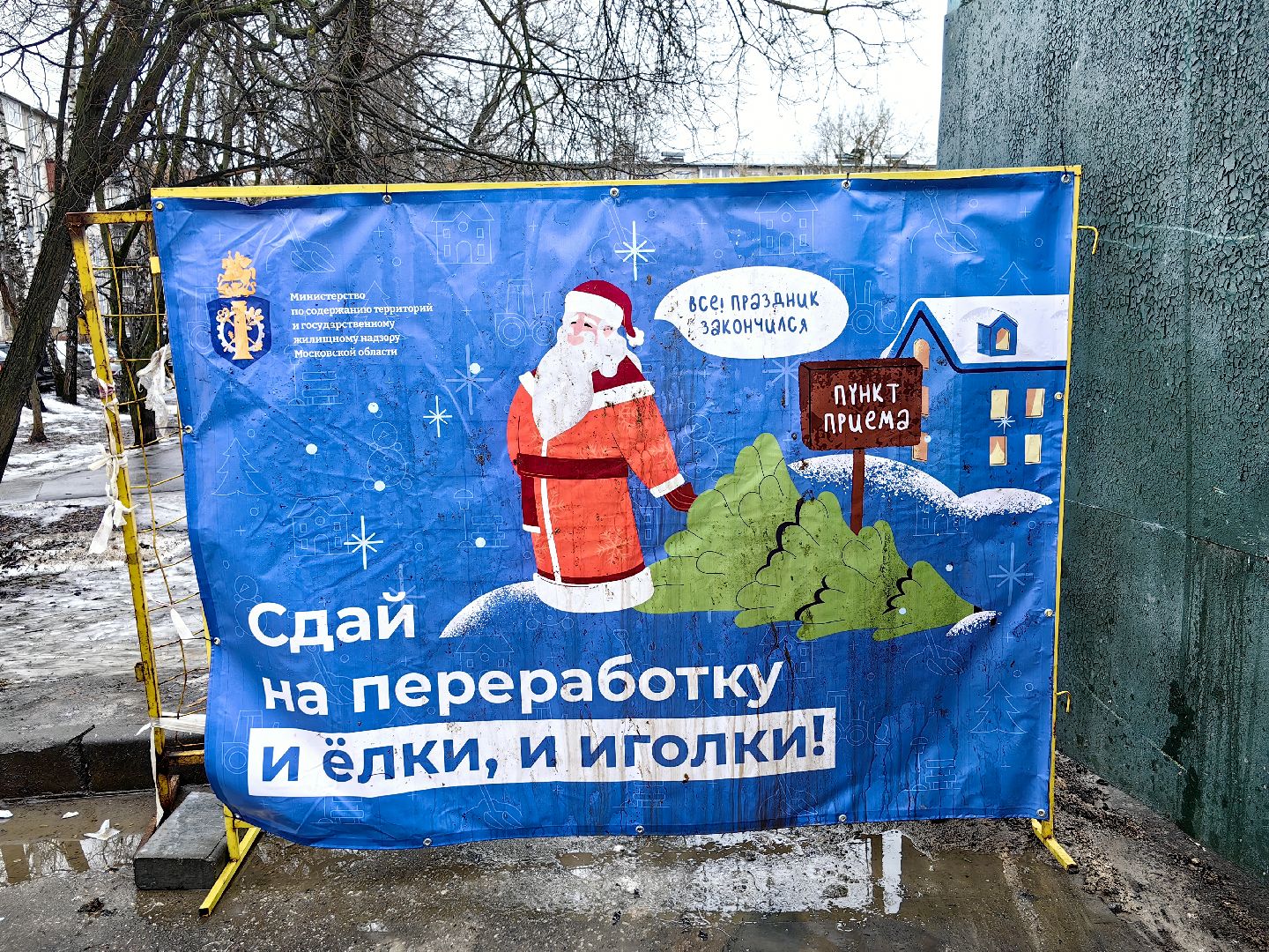 ели, хвойные, переработка, пункт приема, акция, экология, вертикалки,