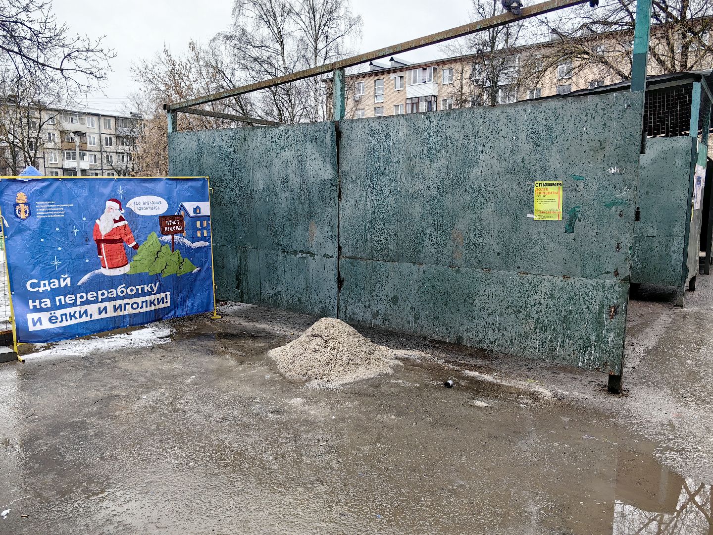 ели, хвойные, переработка, пункт приема, акция, экология, вертикалки,