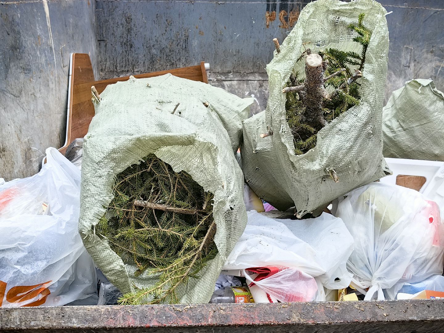 ели, хвойные, переработка, пункт приема, акция, экология, вертикалки,