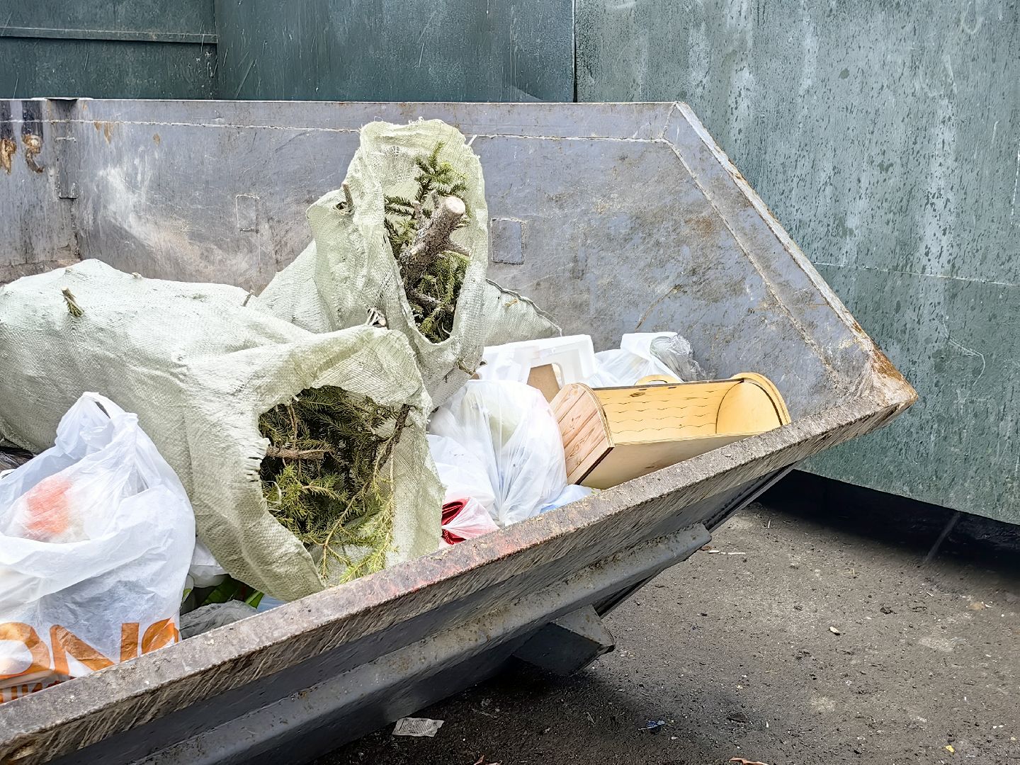 ели, хвойные, переработка, пункт приема, акция, экология, вертикалки,