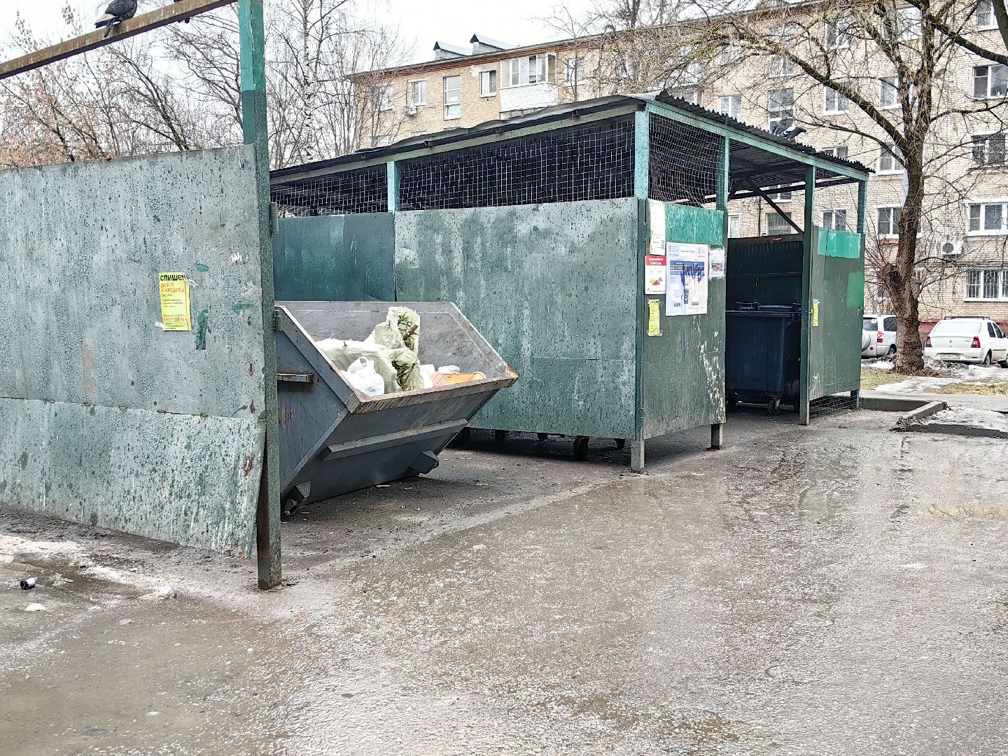 ели, хвойные, переработка, пункт приема, акция, экология, вертикалки,