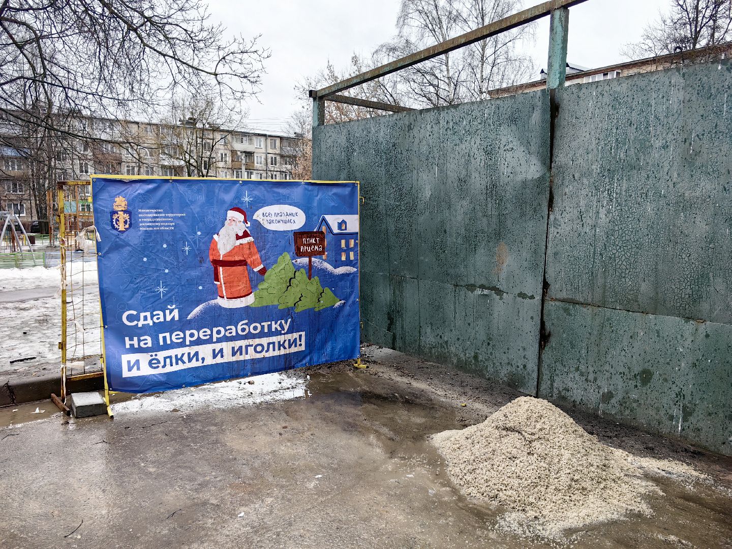 ели, хвойные, переработка, пункт приема, акция, экология, вертикалки,