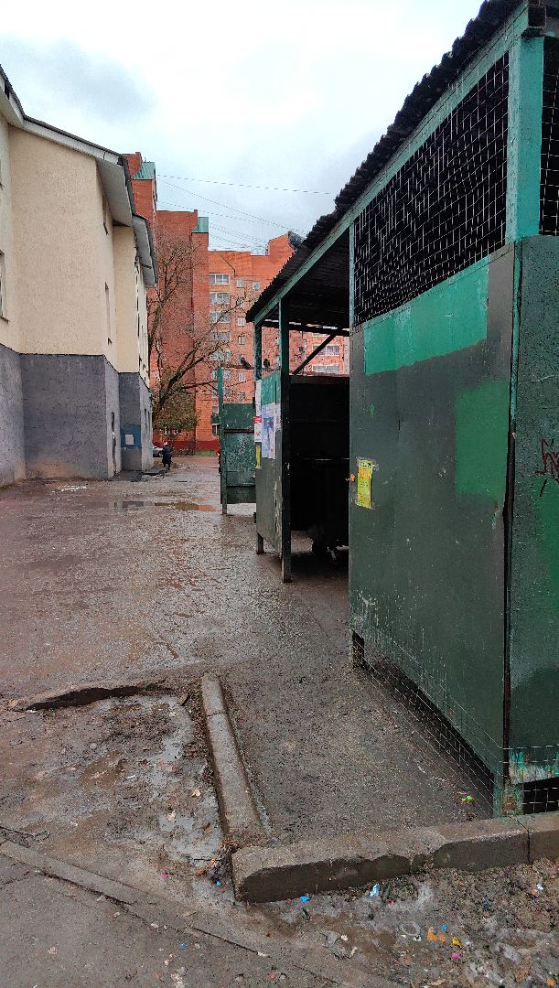 ели, хвойные, переработка, пункт приема, акция, экология, вертикалки,