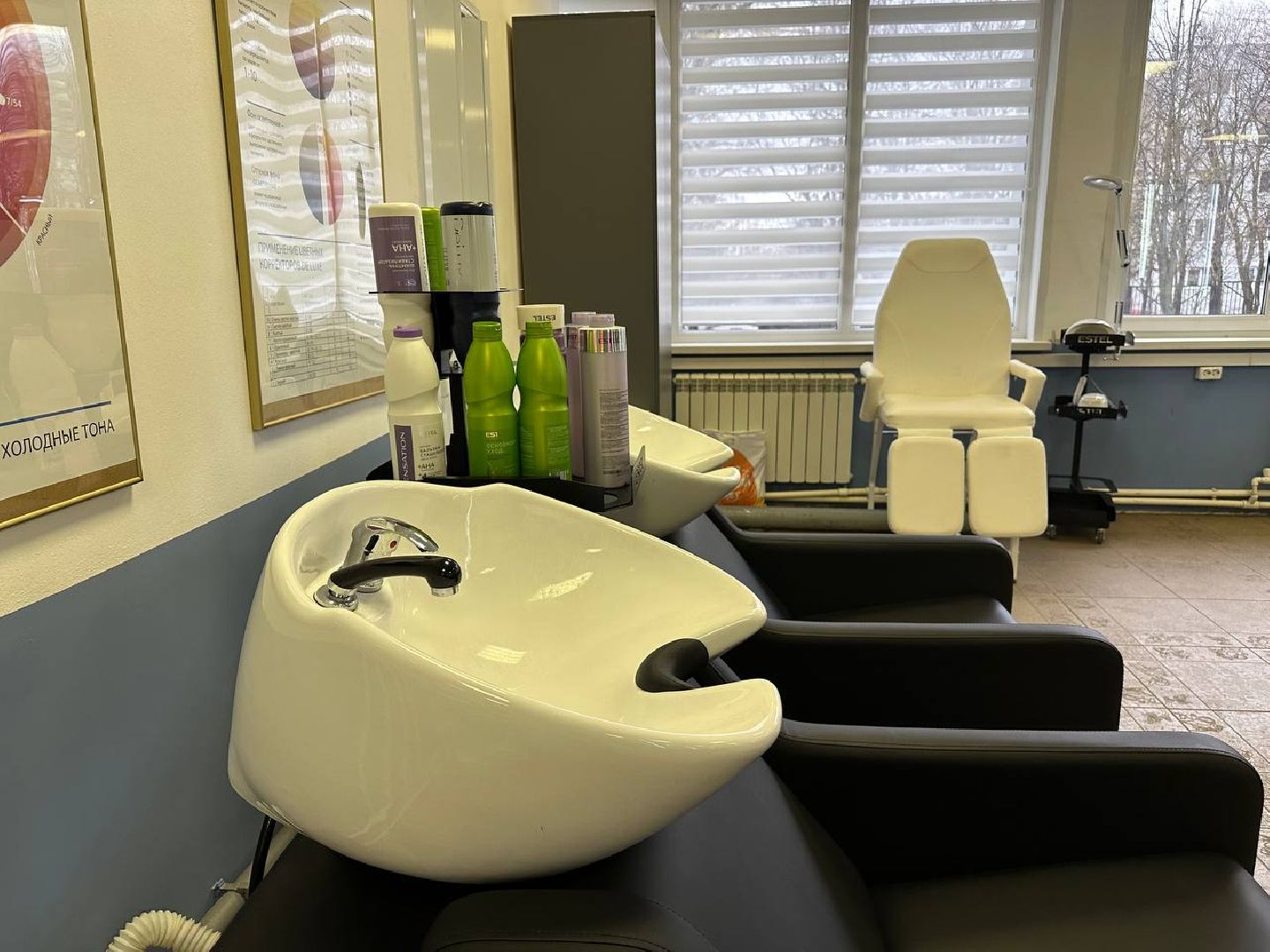 образование, колледж московия,