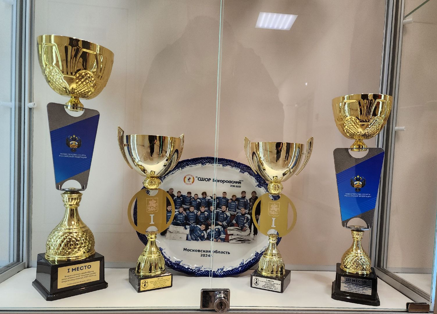 дети, ногинск, спорт, хоккей, школа олимпийского резерва,