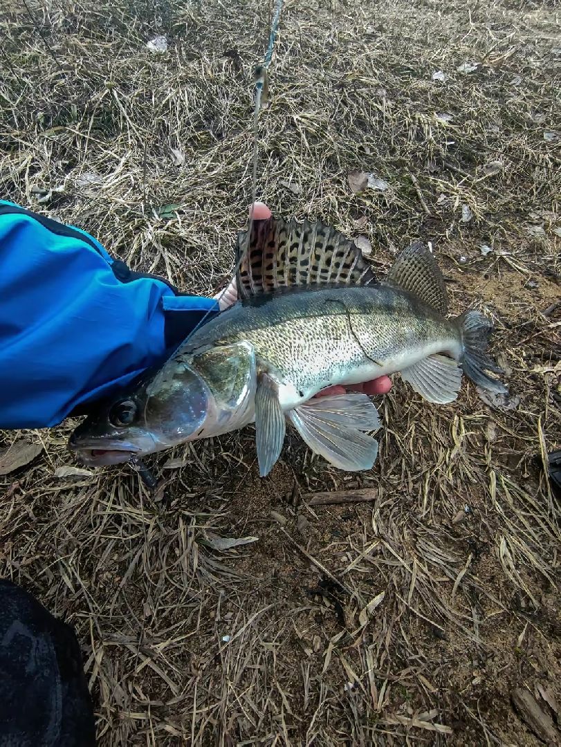 Бронницы, Рыбалка, Рыба в Бронницах, Дети, Дети на рыбалке,