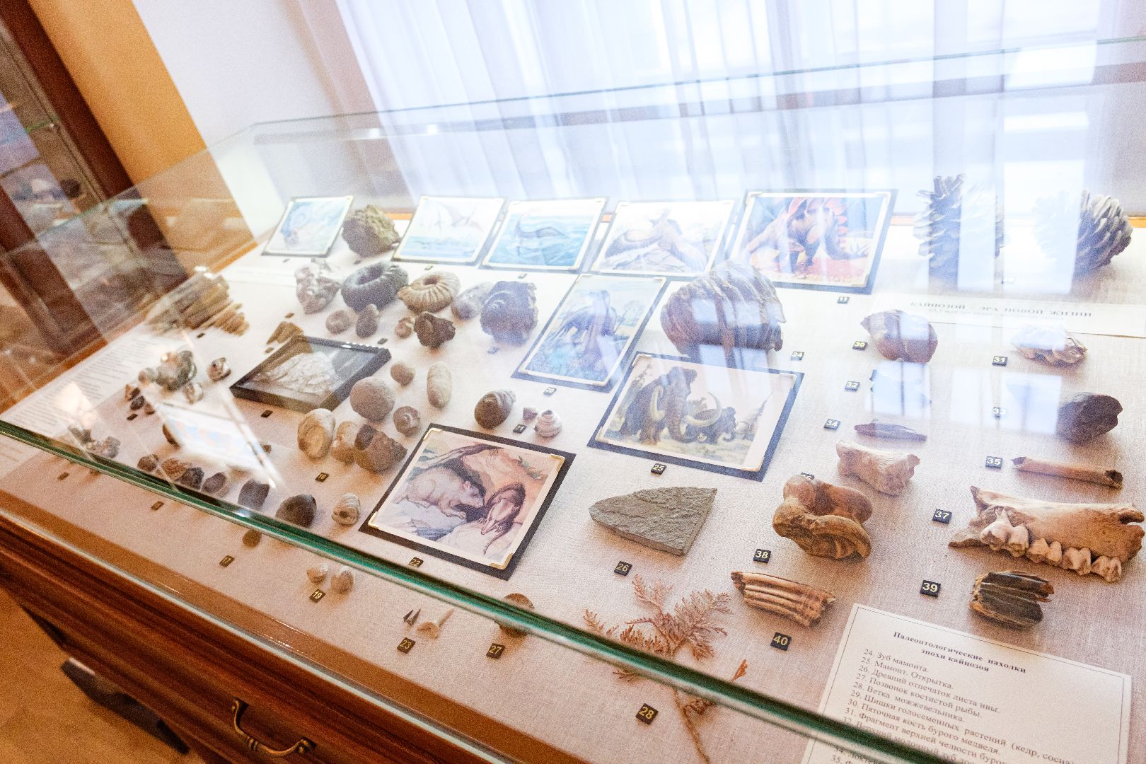 лыткарино, культура, нововведения, музей, историко-краеведческий музей, вертикалка,