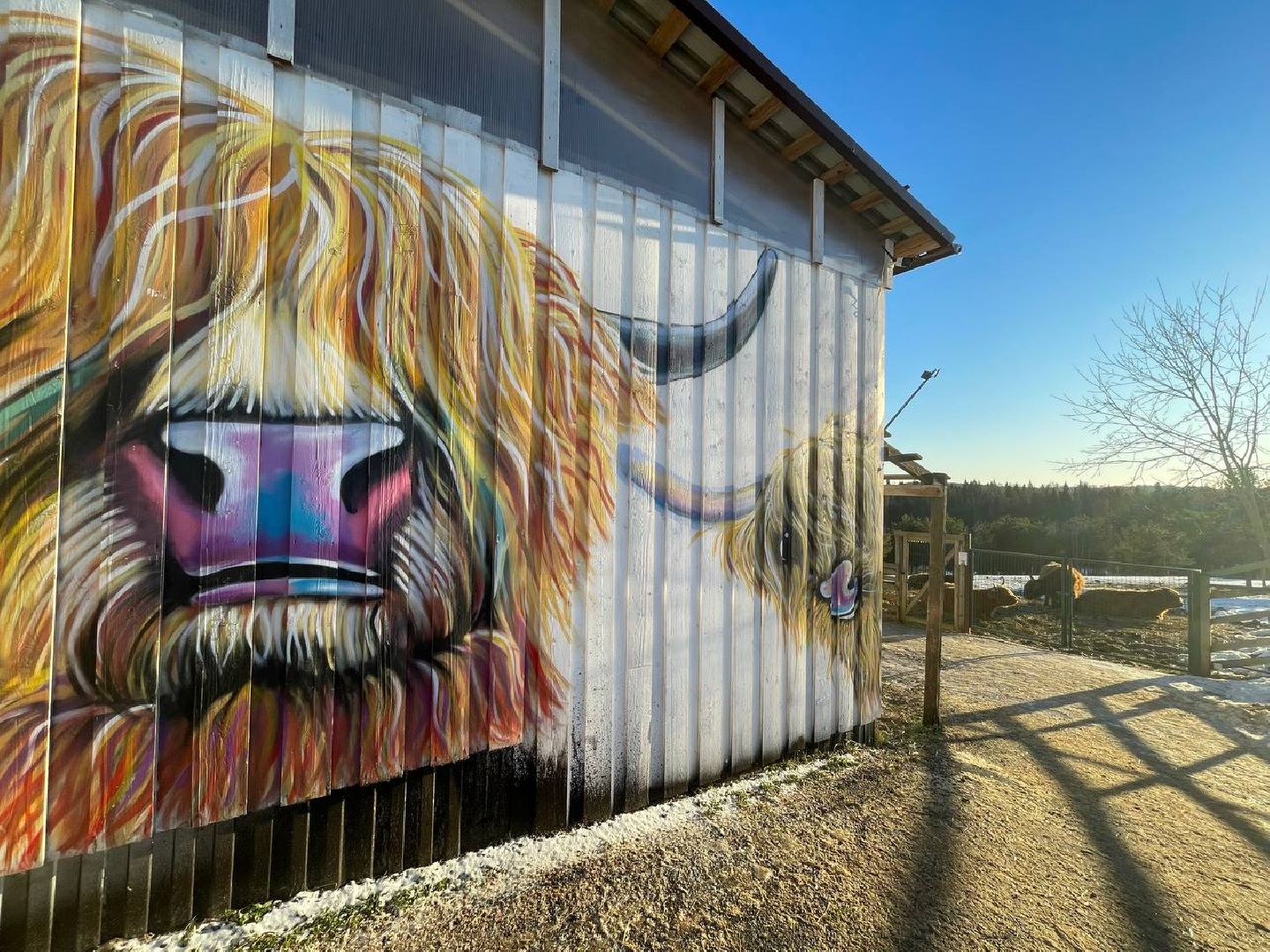 Дмитров, Ферма Российские альпаки, Походкино, вертикалки,