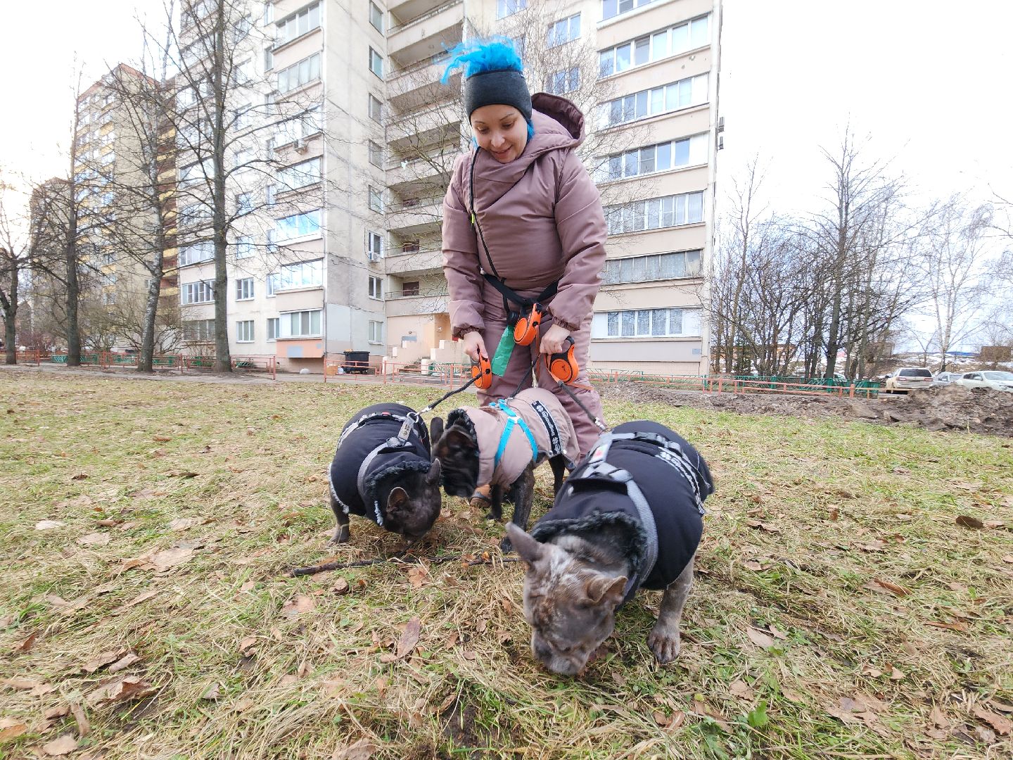 красногорск, аномальная погода, клещи, клещевой энцефалит, вертикалки