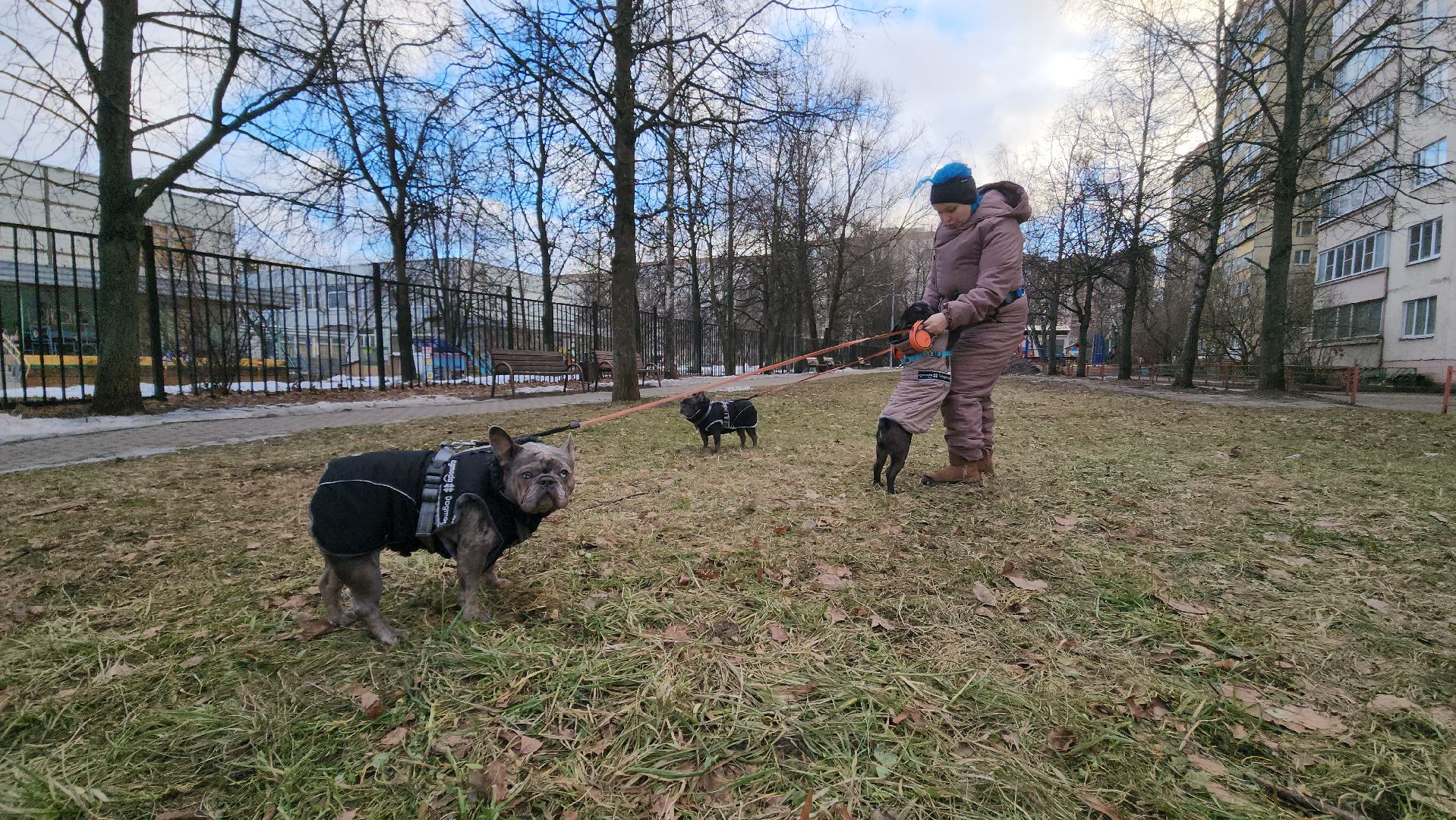 красногорск, аномальная погода, клещи, клещевой энцефалит, вертикалки