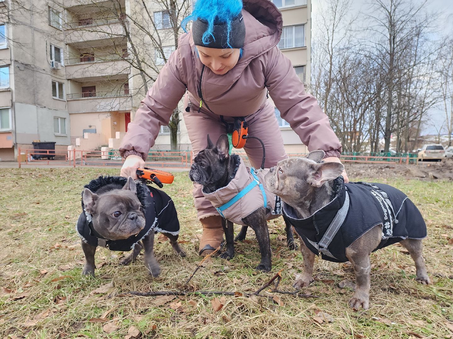красногорск, аномальная погода, клещи, клещевой энцефалит, вертикалки