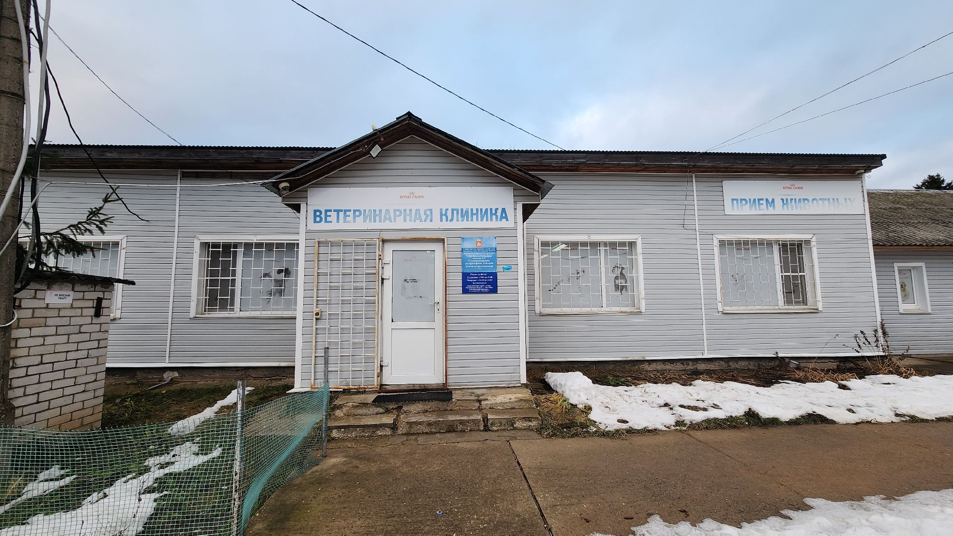 солнечногорск, домашние животные, ветеринарная станция, прививка от бешенства,