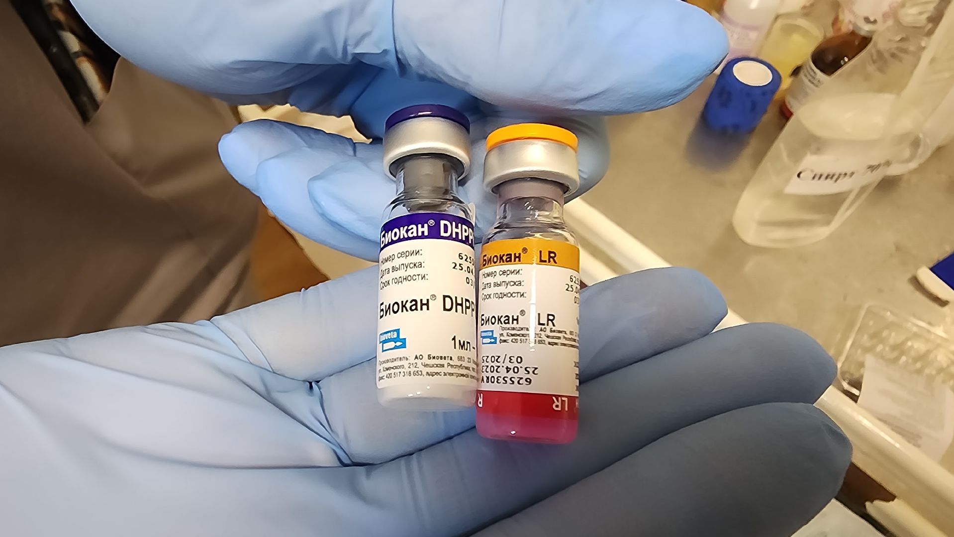 солнечногорск, домашние животные, ветеринарная станция, прививка от бешенства,