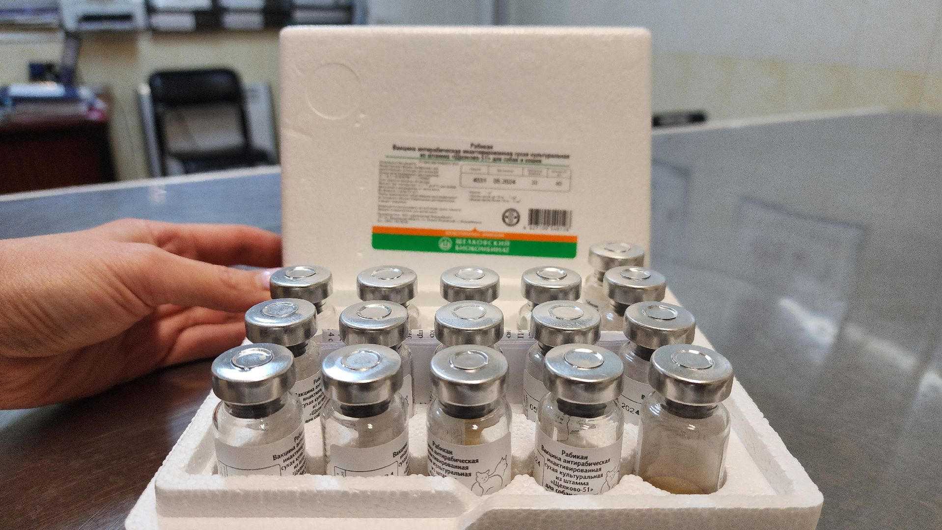 солнечногорск, домашние животные, ветеринарная станция, прививка от бешенства,