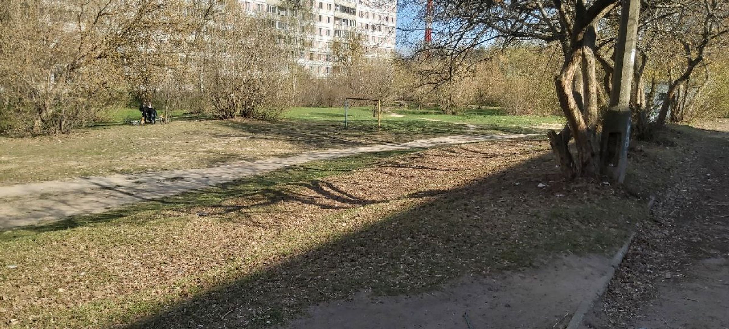 благоустройство, субботник, Лосино-Петровский