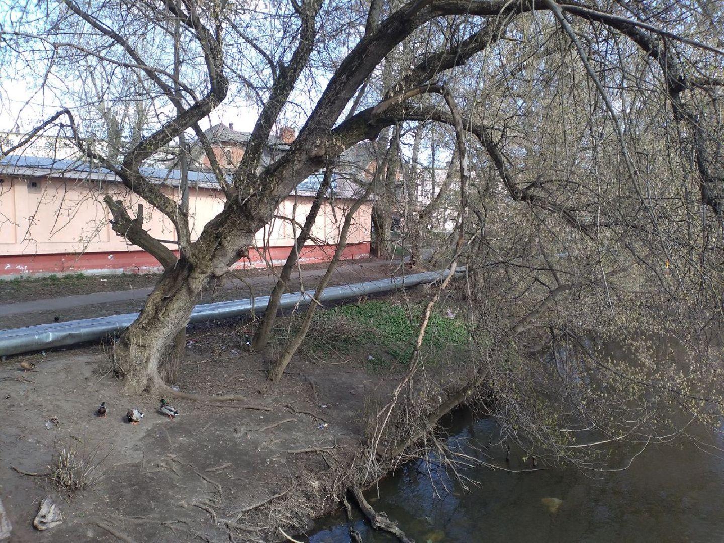 благоустройство, субботник, Лосино-Петровский