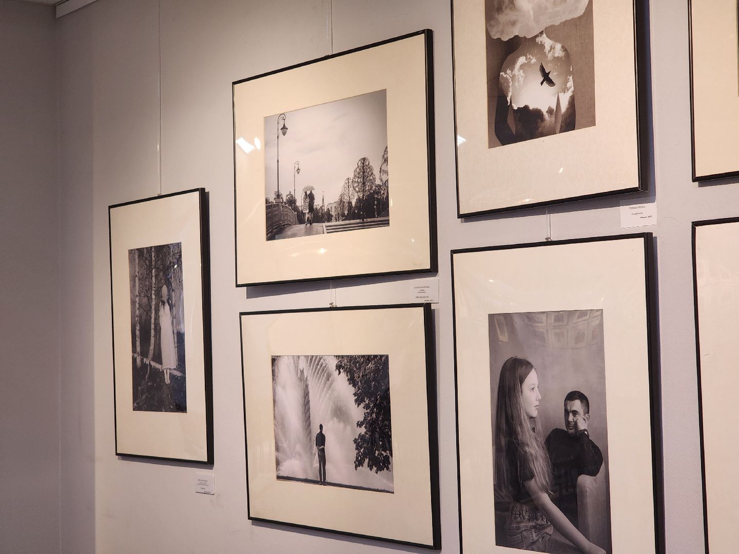 картинная галерея, выставка, Художники,Картины,