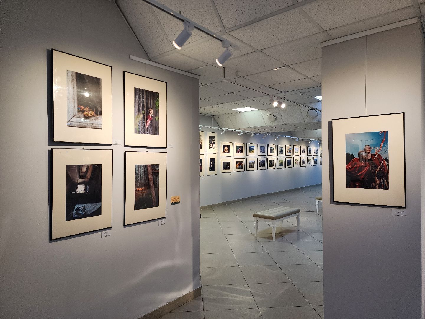 картинная галерея, выставка, Художники,Картины,