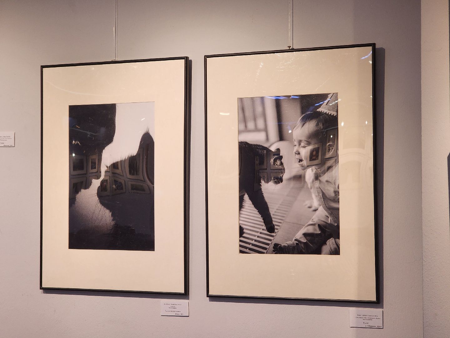 картинная галерея, выставка, Художники,Картины,