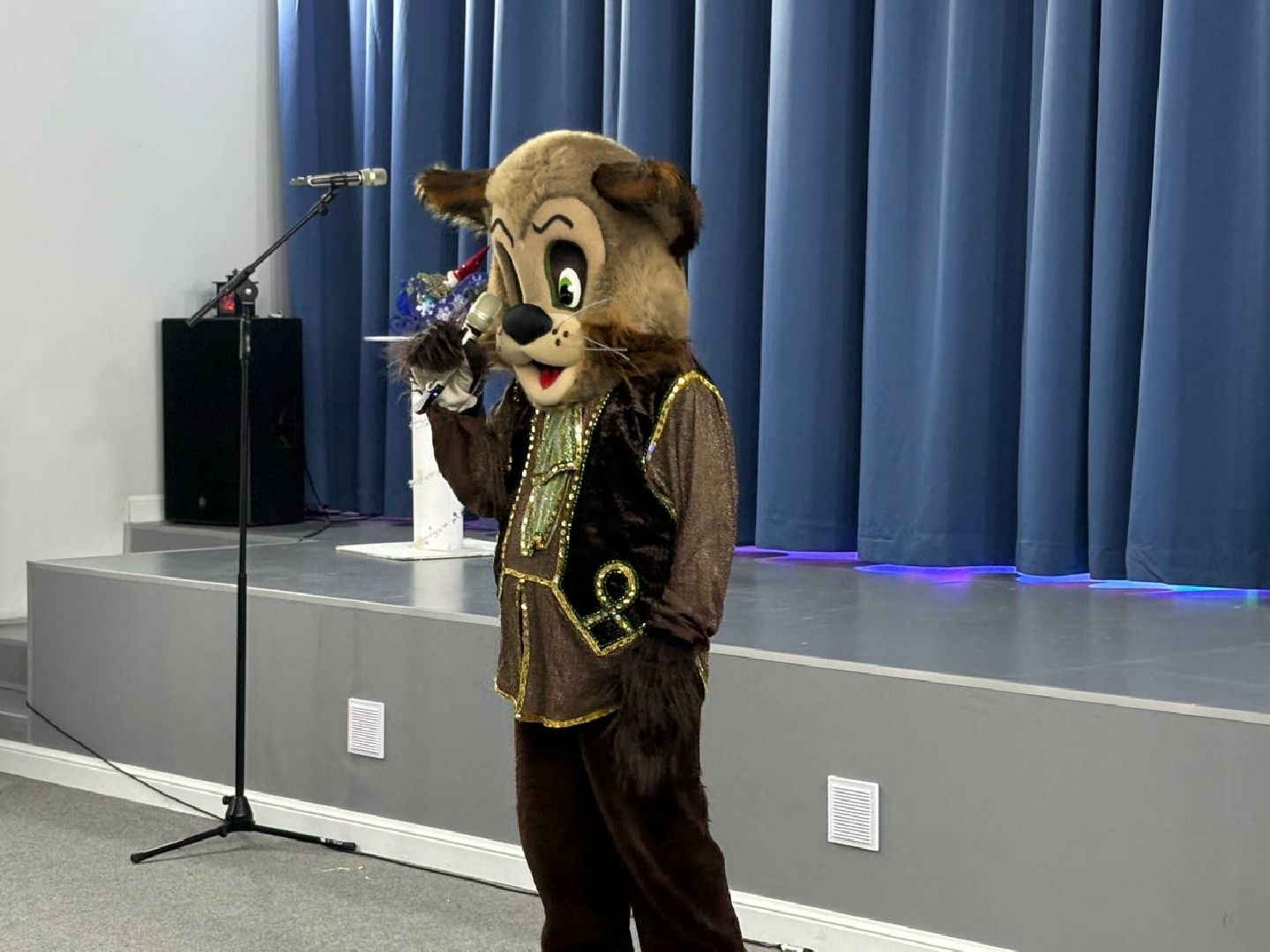 воскресенск, дети, спектакль,