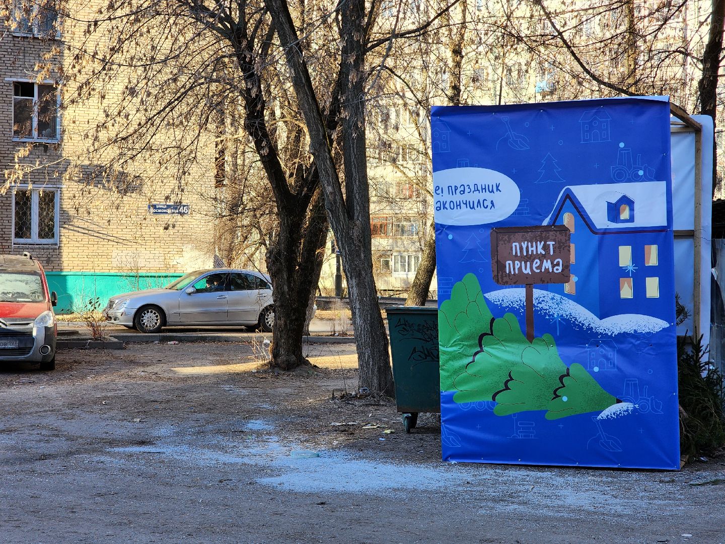 елки, хвойные деревья, утилизация, вертикалки,