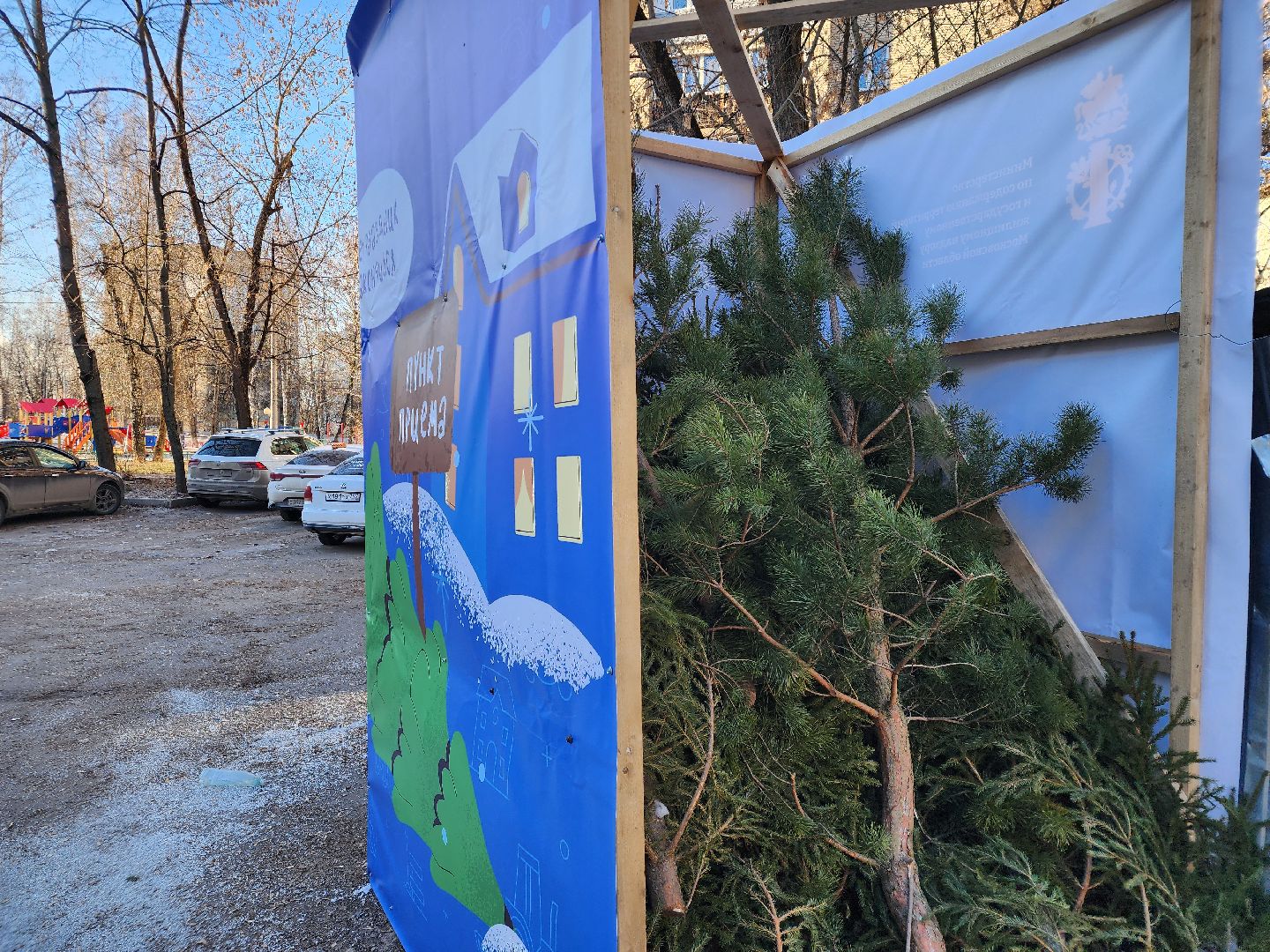 елки, хвойные деревья, утилизация, вертикалки,