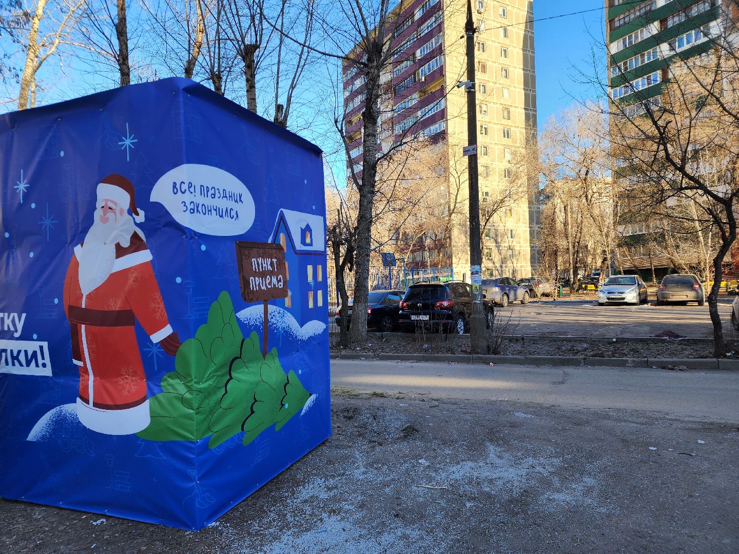 елки, хвойные деревья, утилизация, вертикалки,