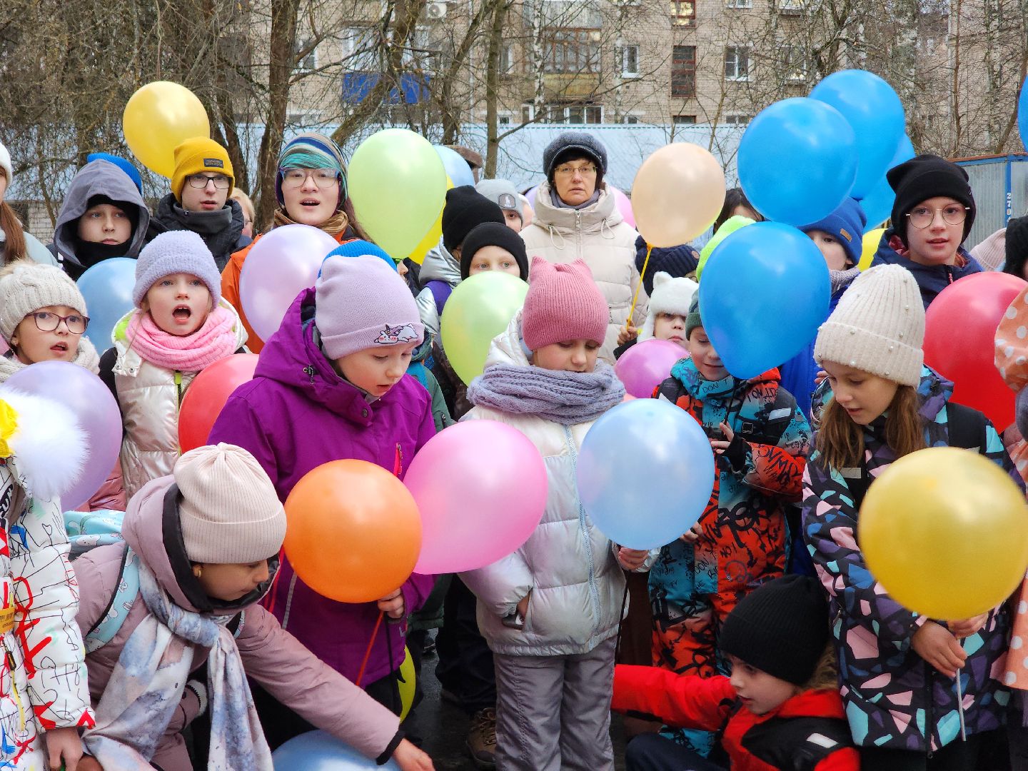 Дубна, Центр дополнительного образования, Дети, Открытие, вертикалки,