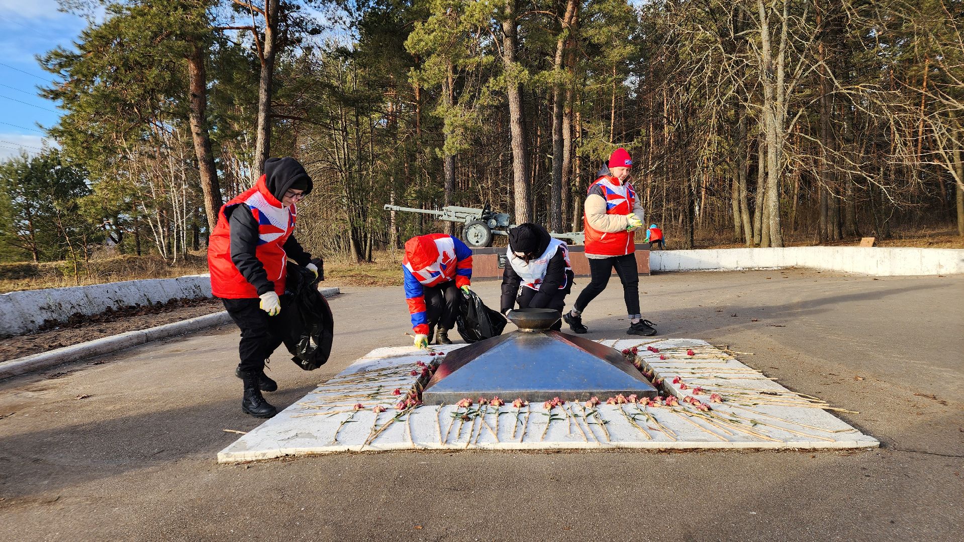 протвино, патриотическая акция, субботник, волонтеры подмосковья,