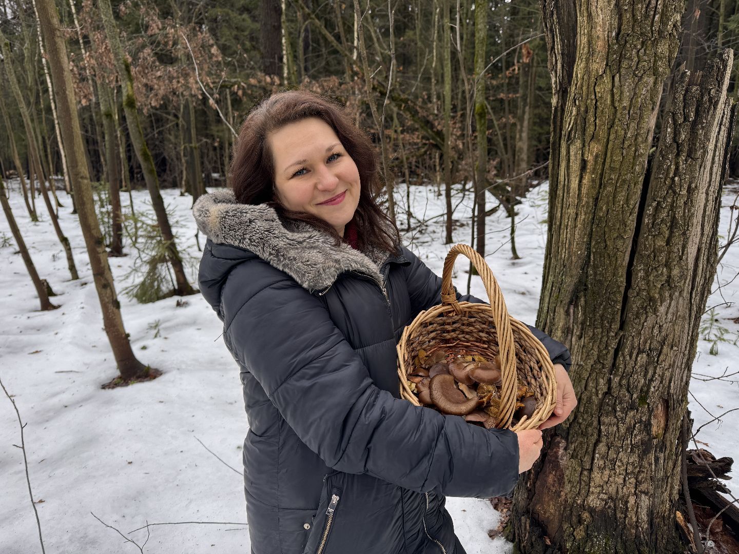 Грибы в январе, Оттепель, Одинцово,