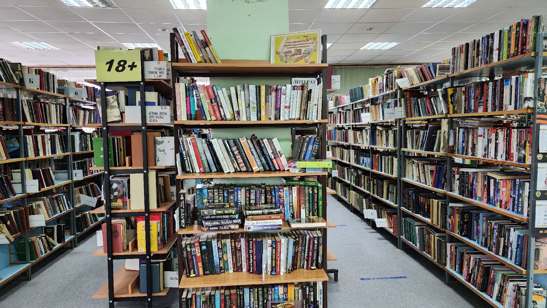 цифровизация, библиотека, библиотека имени Пушкина,