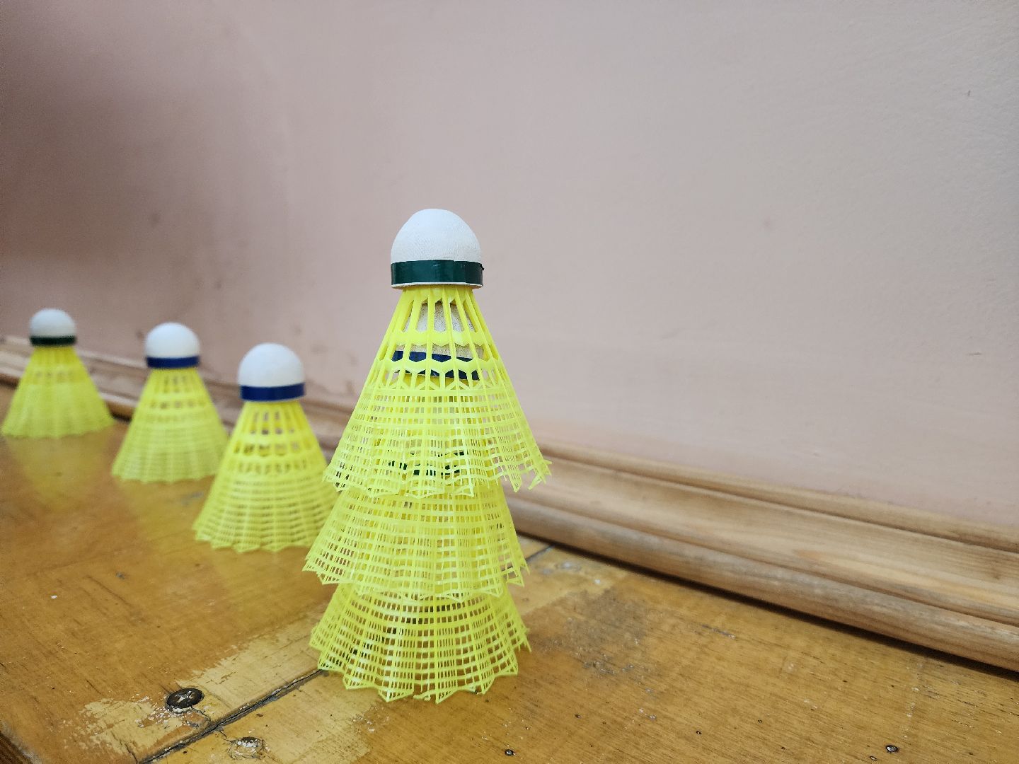 красноармейск, городской округ пушкинский, бадминтон, мастер спорта россии, тренировка,