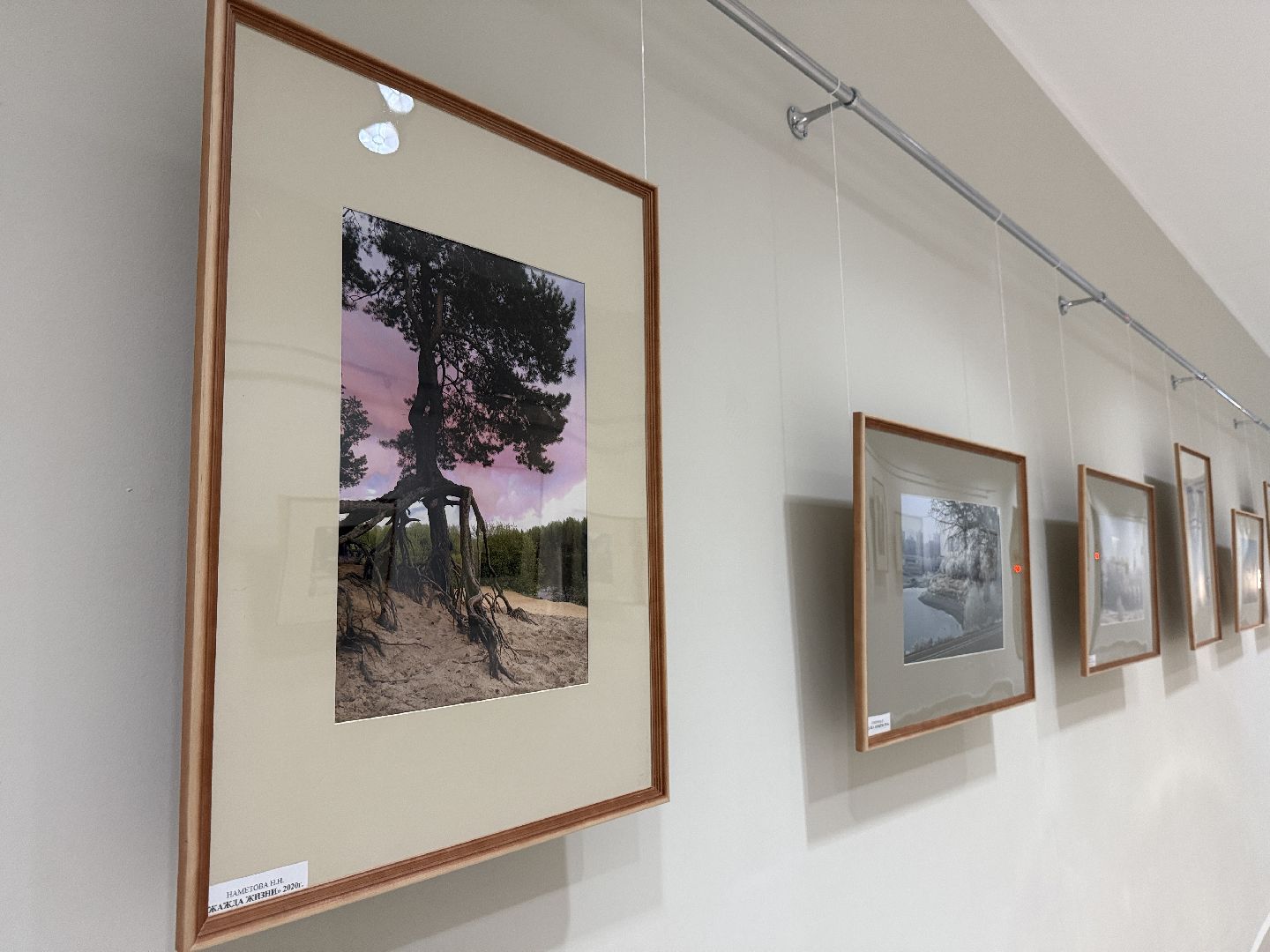 фотовыставка, раменское, дворец спорта борисоглебский, культура,