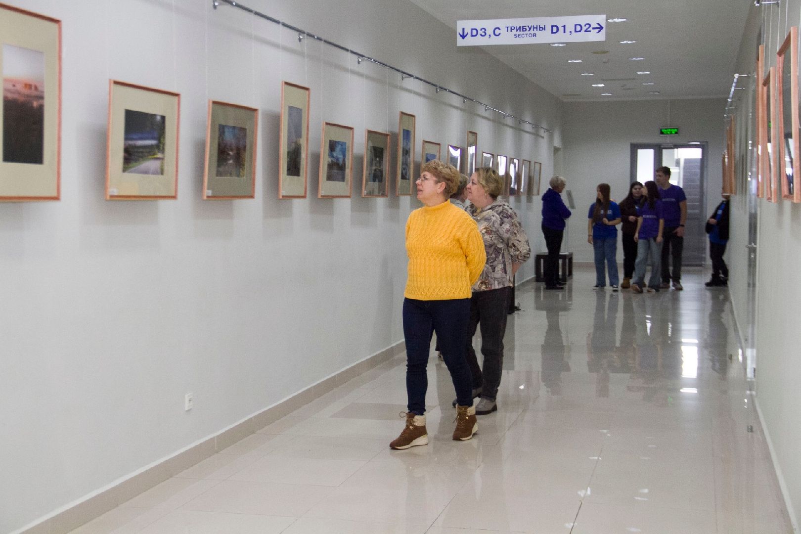 фотовыставка, раменское, дворец спорта борисоглебский, культура,