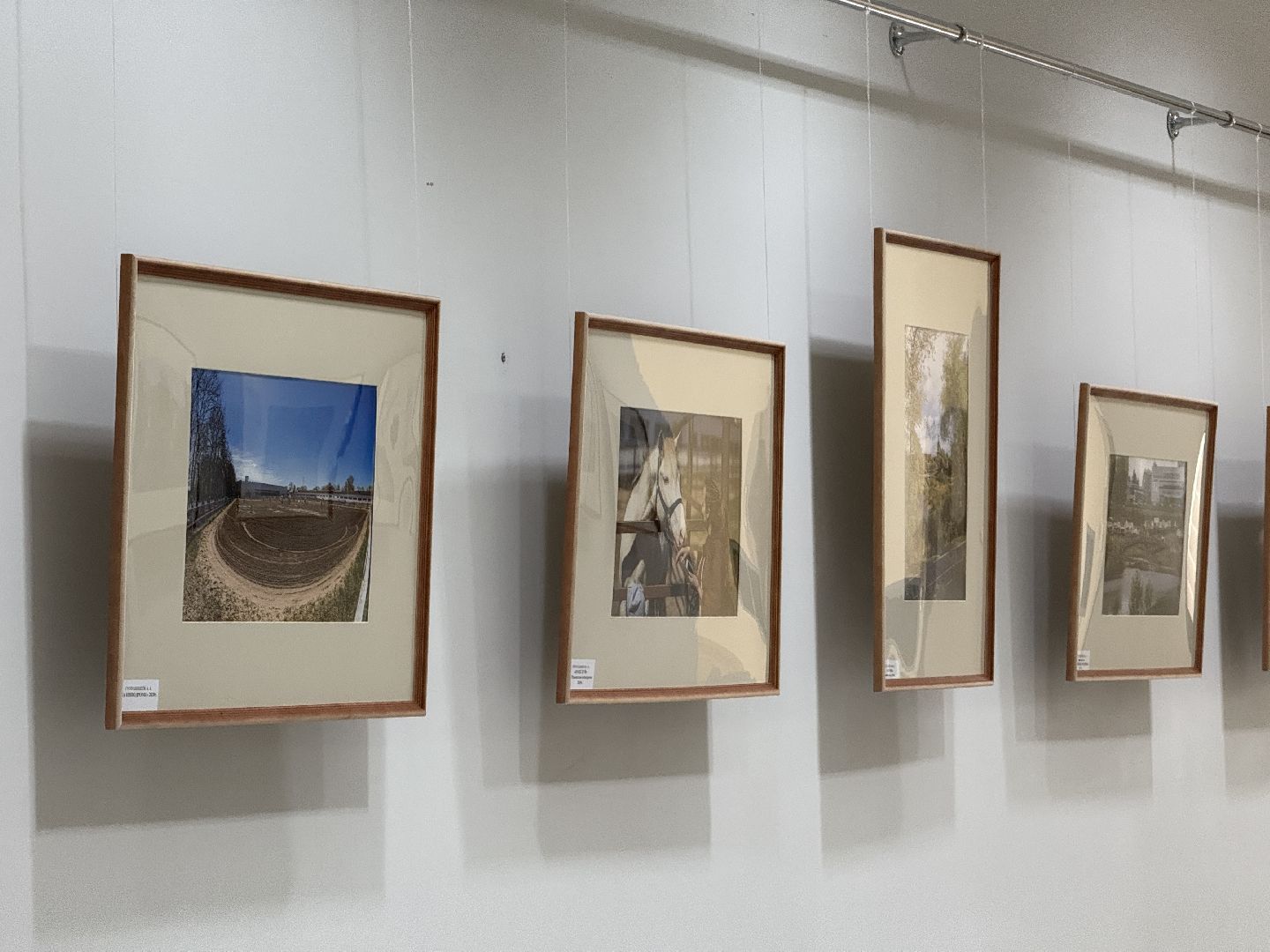 фотовыставка, раменское, дворец спорта борисоглебский, культура,