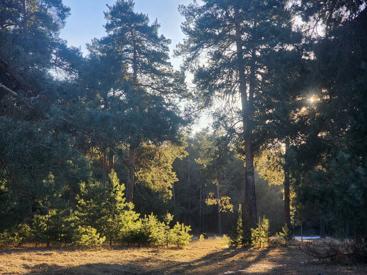 Коломна, благоустройство, пруды, вертикалки,