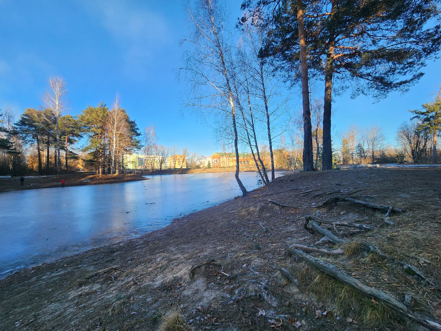 Коломна, благоустройство, пруды, вертикалки,