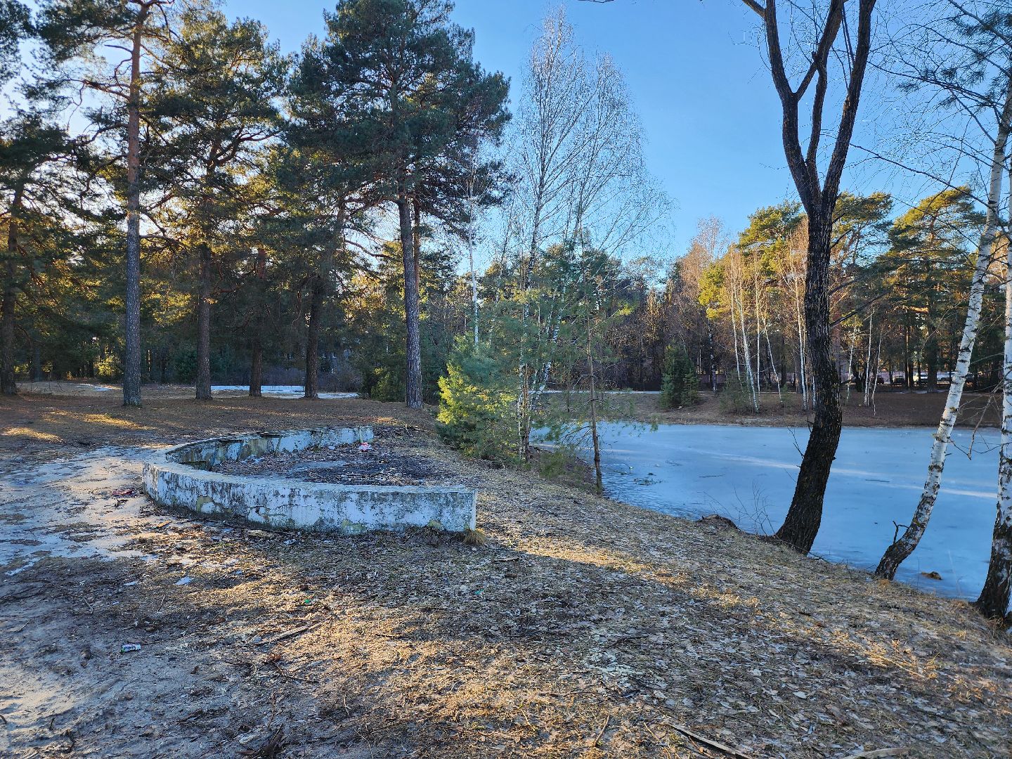 Коломна, благоустройство, пруды, вертикалки,