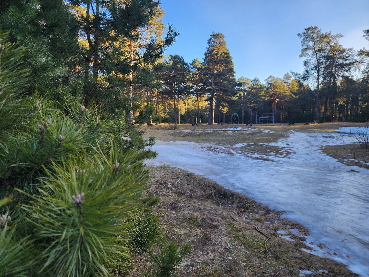 Коломна, благоустройство, пруды, вертикалки,