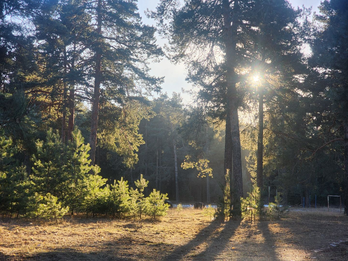 Коломна, благоустройство, пруды, вертикалки,