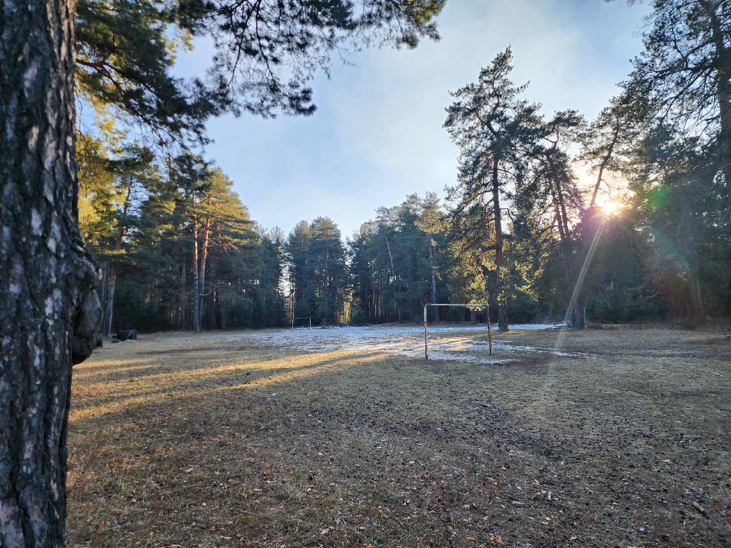 Коломна, благоустройство, пруды, вертикалки,