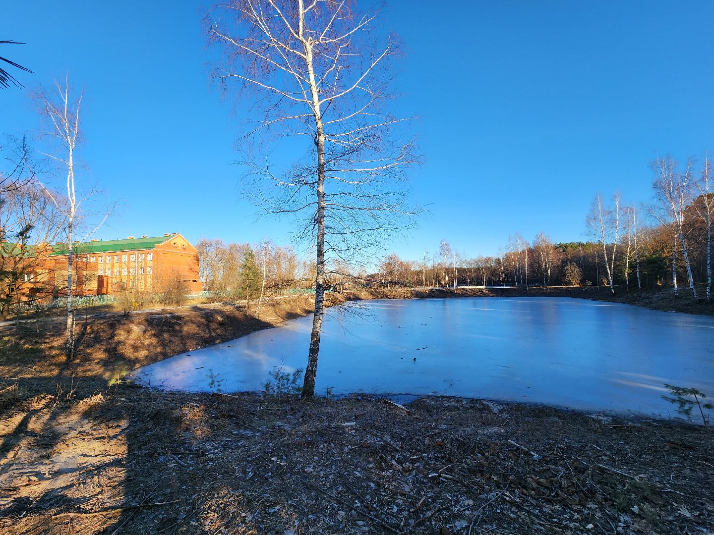 Коломна, благоустройство, пруды, вертикалки,