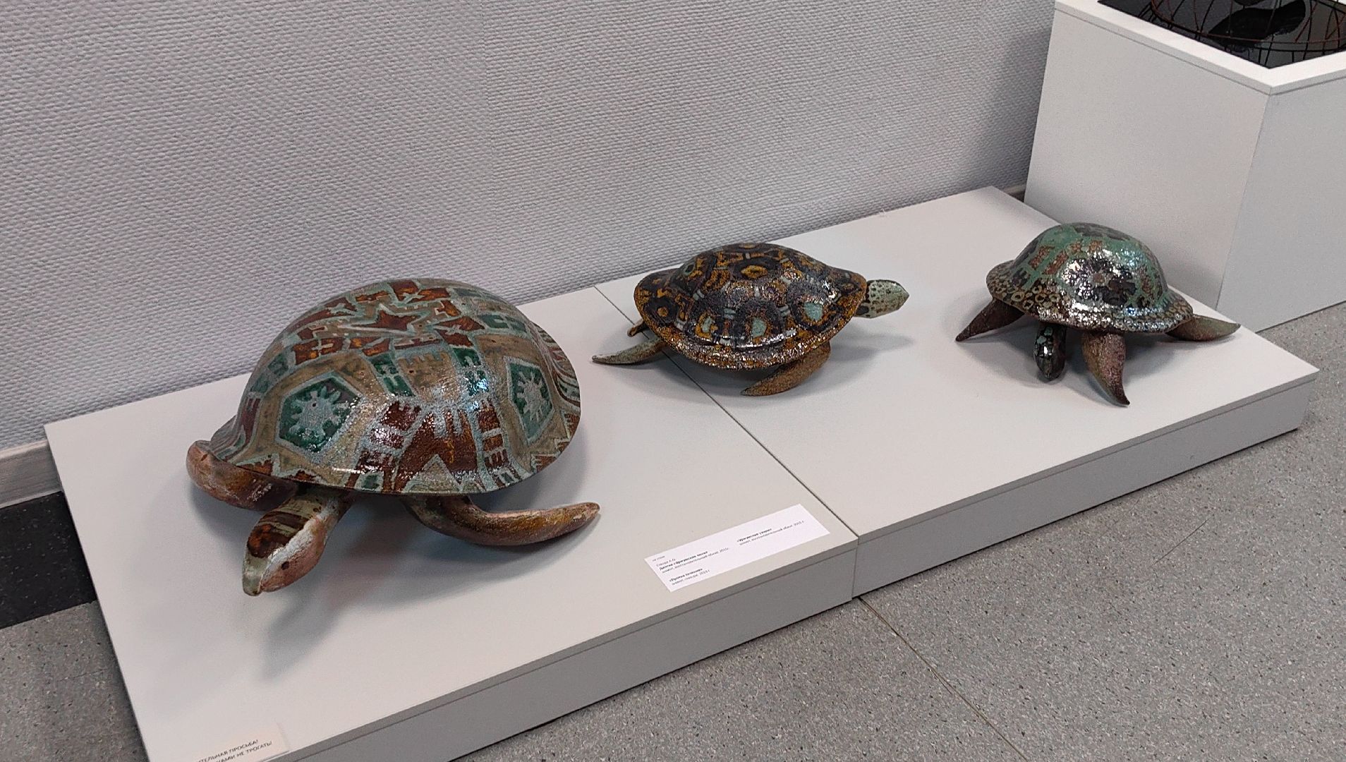 черепахи, сова, выставка, керамика, гобелен, природа, музей,