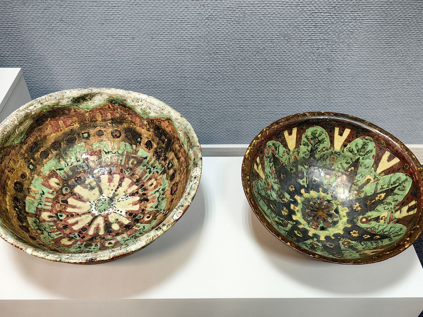 черепахи, сова, выставка, керамика, гобелен, природа, музей,