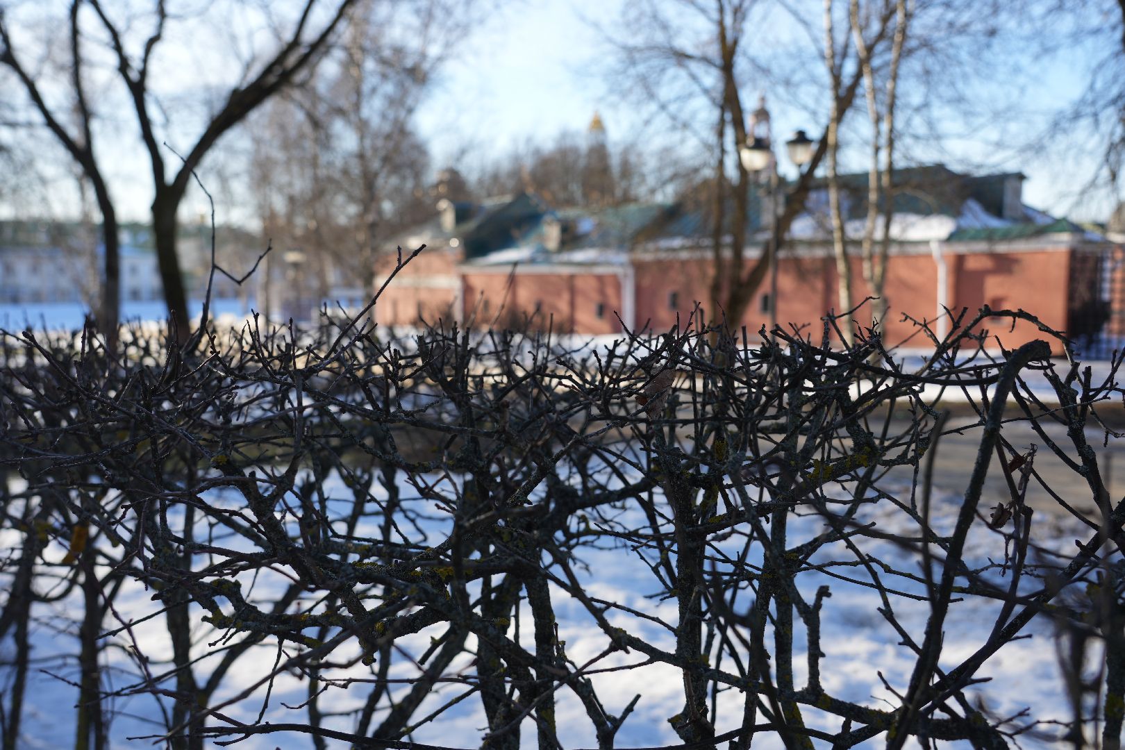 погода, потепление, гололед, сергиев посад, сергиево-посадский городской округ, природа, январь,