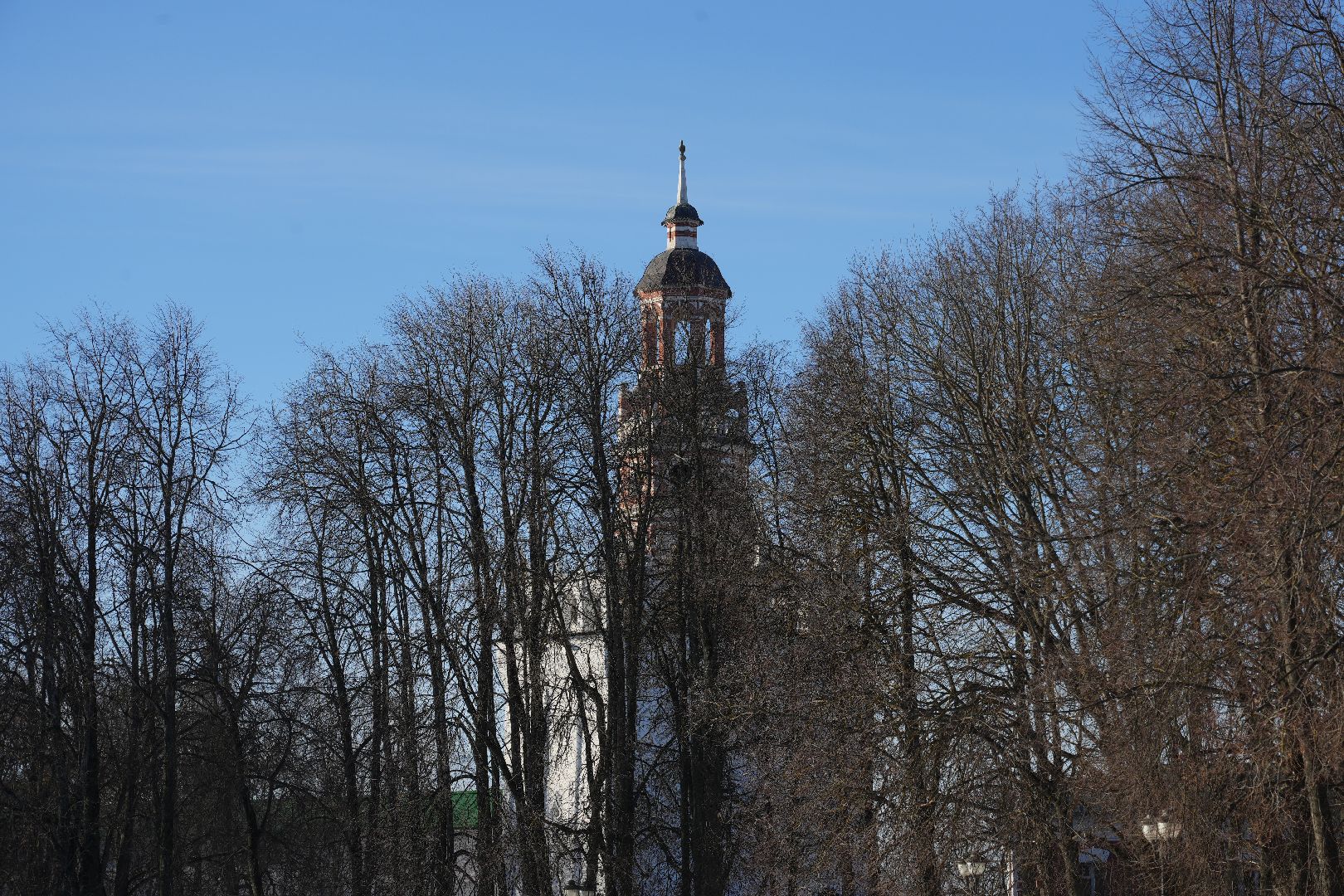 погода, потепление, гололед, сергиев посад, сергиево-посадский городской округ, природа, январь,